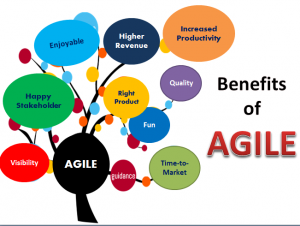 Implement Agile In Application Development